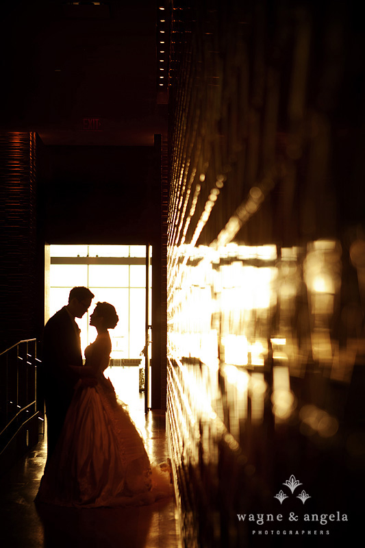 best wedding photos 2011