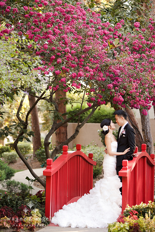 best wedding photos 2011