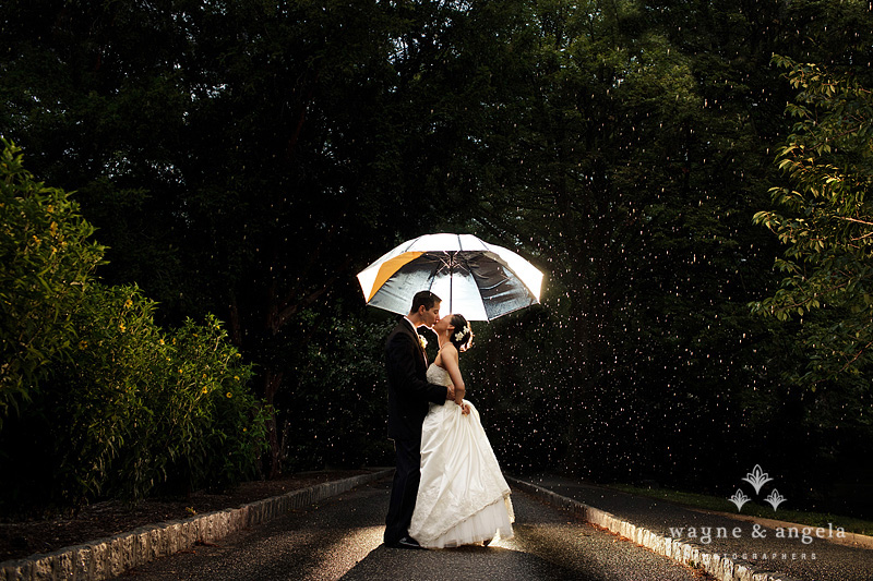 best wedding photos 2011