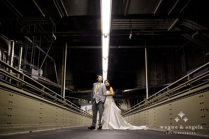 best wedding photos 2011