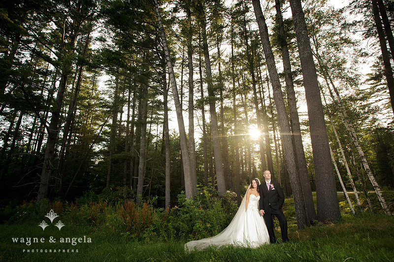 best wedding photos 2011