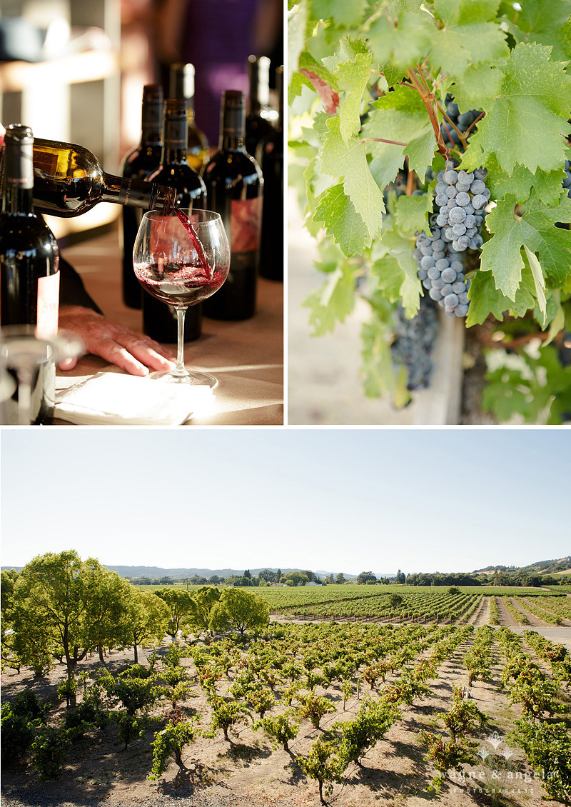 stryker sonoma wedding photography