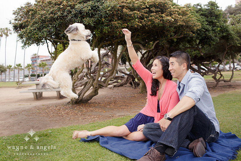 la jolla engagement photography
