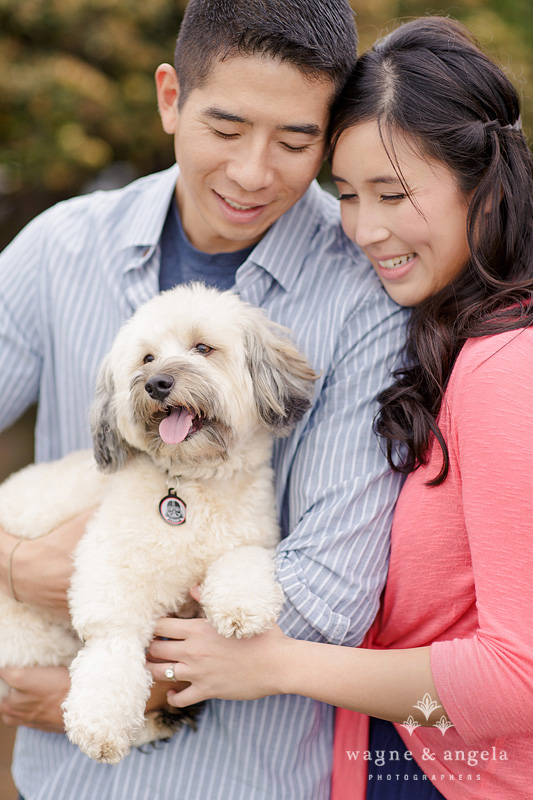la jolla engagement pictures