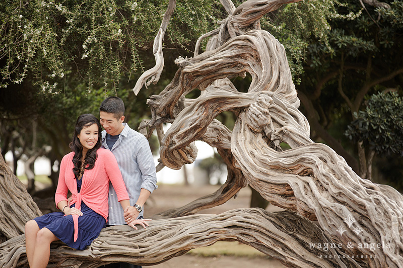 la jolla cove engagement photos