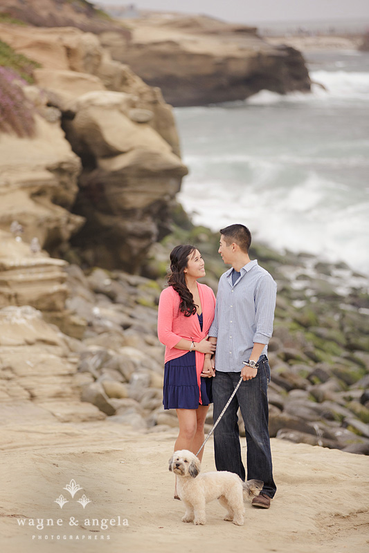la jolla cove engagement pictures