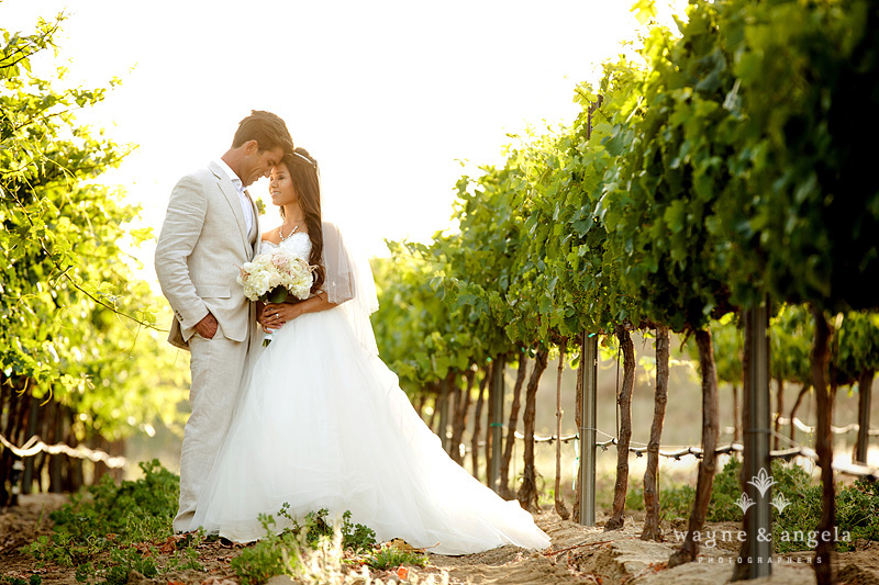 vineyard wedding portrait
