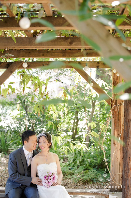 los altos wedding photographer