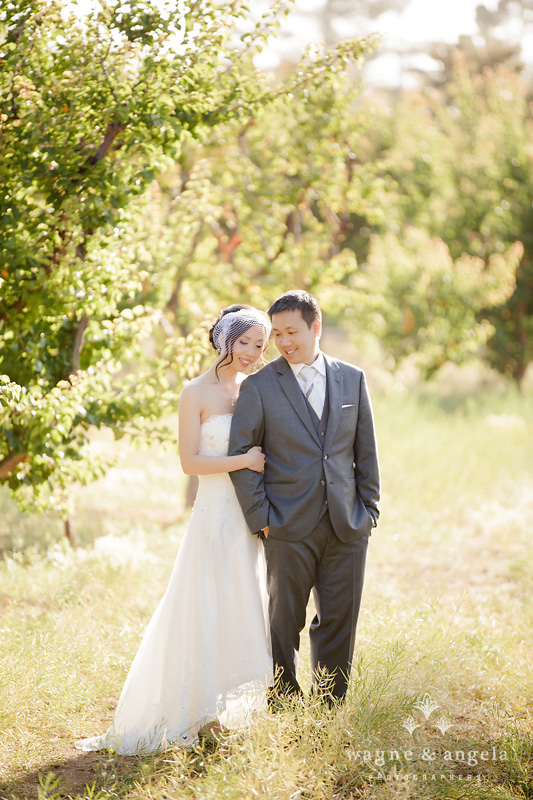 los altos history museum wedding photographer
